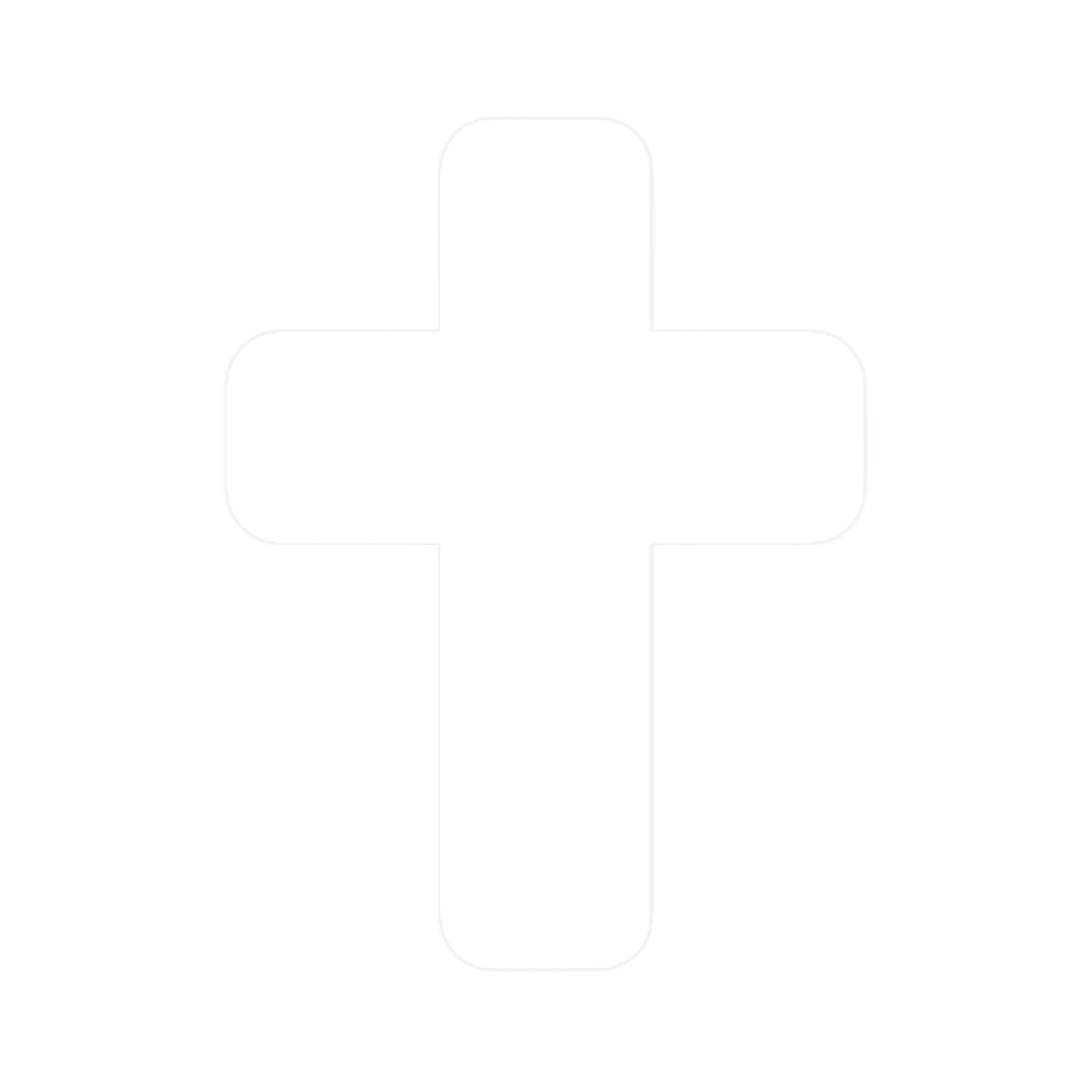 Our Liturgical Tradition