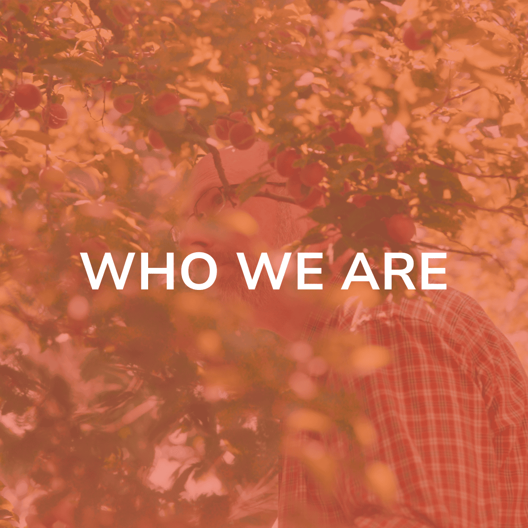 Sexual Harassment Prevention Training Image